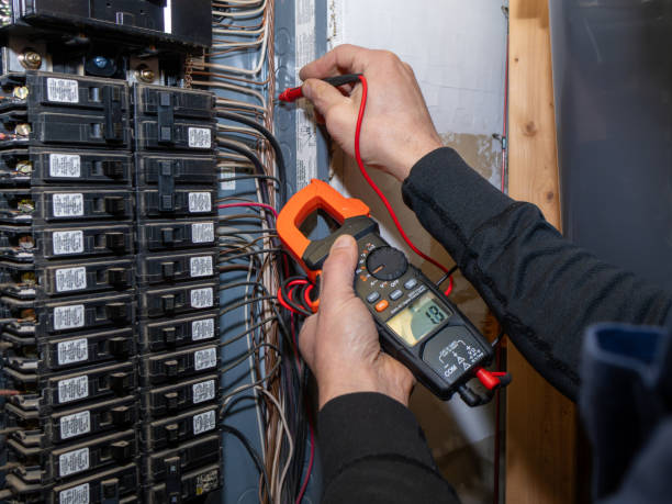 Best Electric Panel Repair  in Cienega Springs, AZ